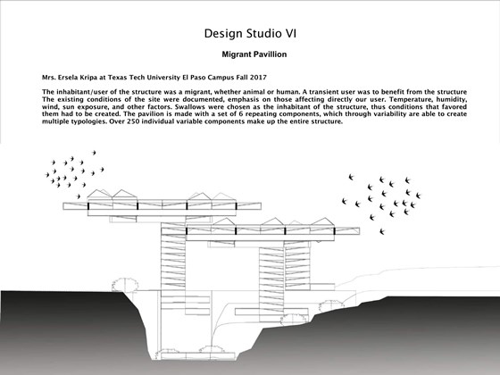Portfolio: Portfolio Cont.