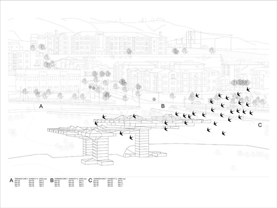 Portfolio: Portfolio Cont.